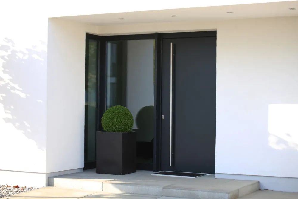 porte entrée